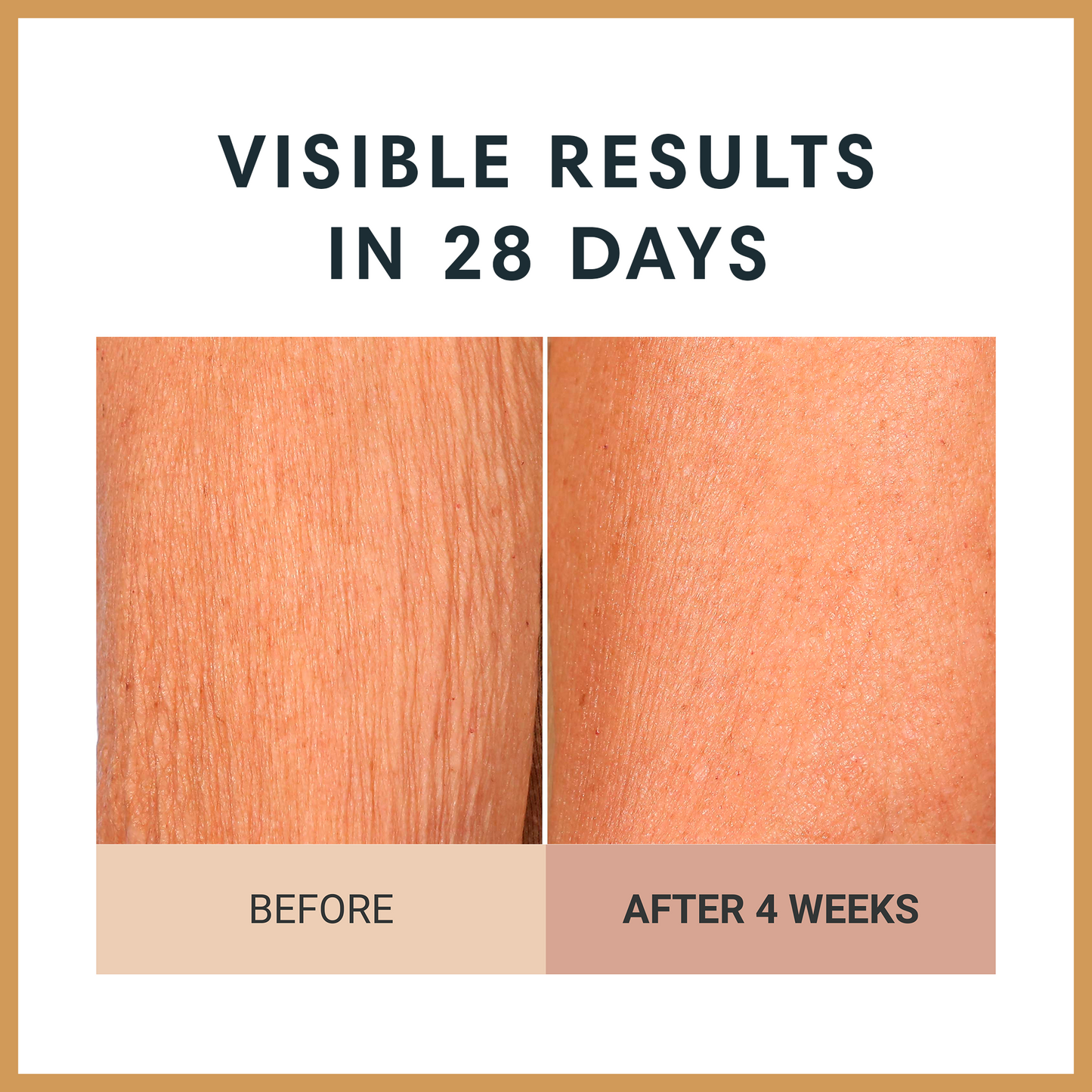 Champagne Lift Firming Body Cream with Caviar Extract and Gold Peptides
